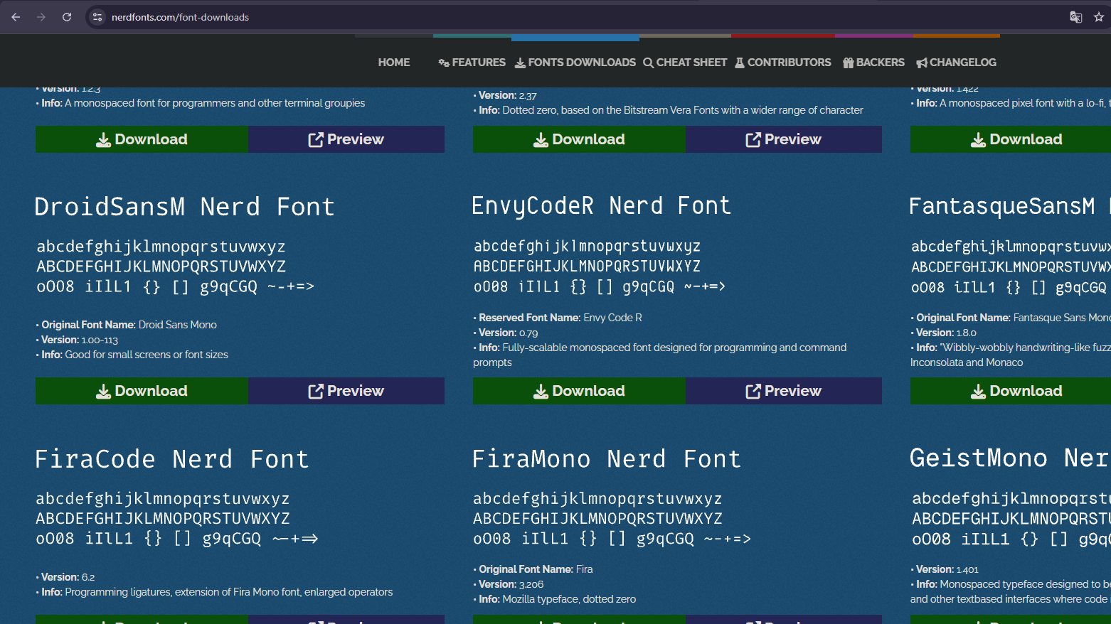 Listado de fuentes disponibles en la web oficial de Nerd Fonts
