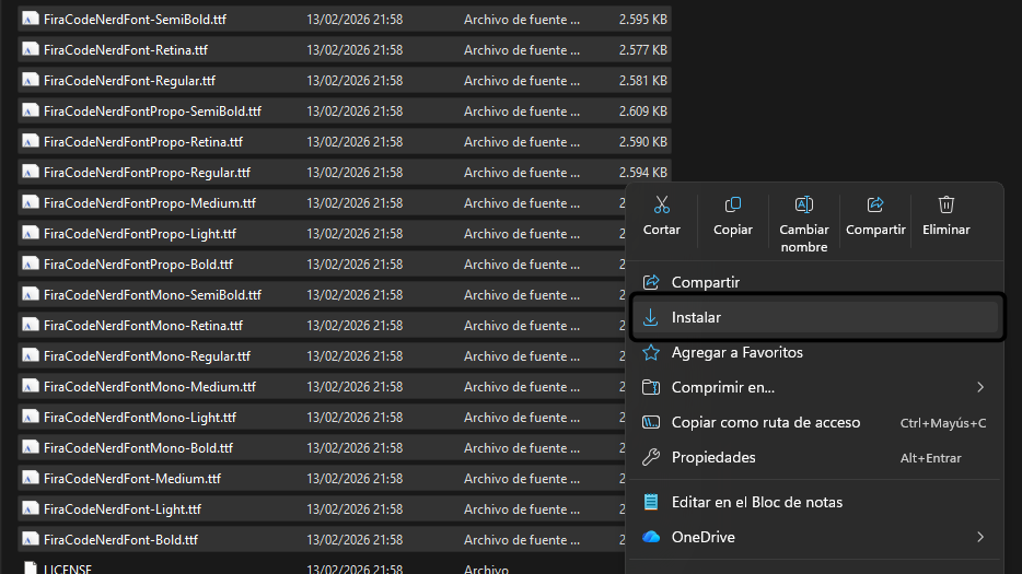 Archivos .ttf seleccionados en el explorador de archivos de Windows